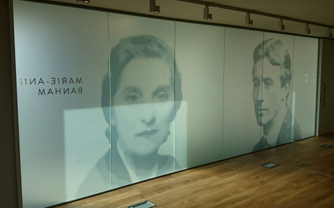 Printed Frosted Vinyl