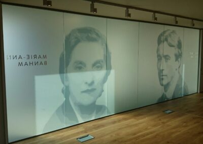 Printed Frosted Vinyl